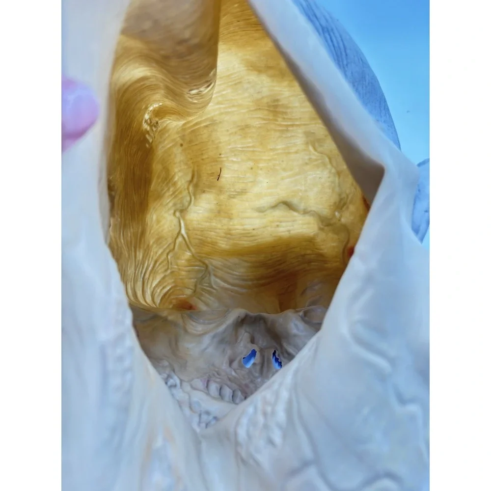 Zombie Full Head Latex Mask Bloody Surgical Mask Horror Halloween Adult Prop